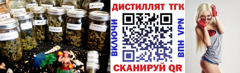 ТГК вейп Трубчевск