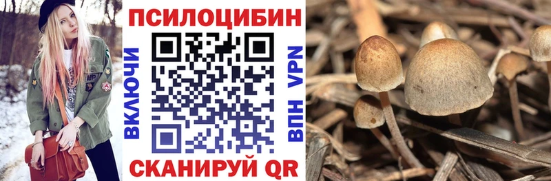 Галлюциногенные грибы прущие грибы  где можно купить   Трубчевск 